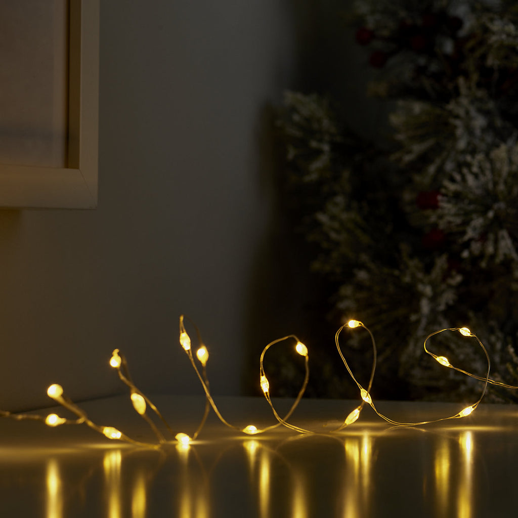 20 Cool white & warm white LED String lights Silver cable