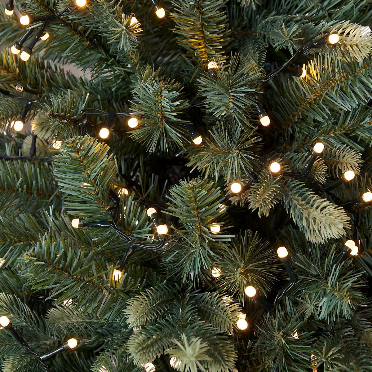 500 Warm white Pearl cap LED String lights With timer function Green cable