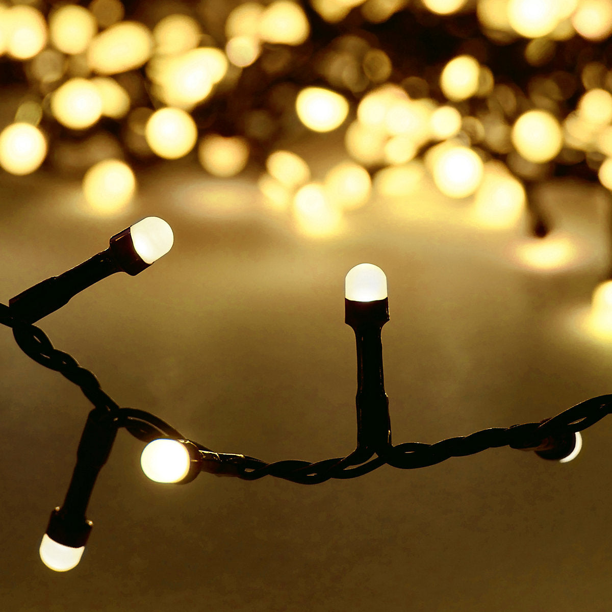 500 Warm white Pearl cap LED String lights With timer function Green cable
