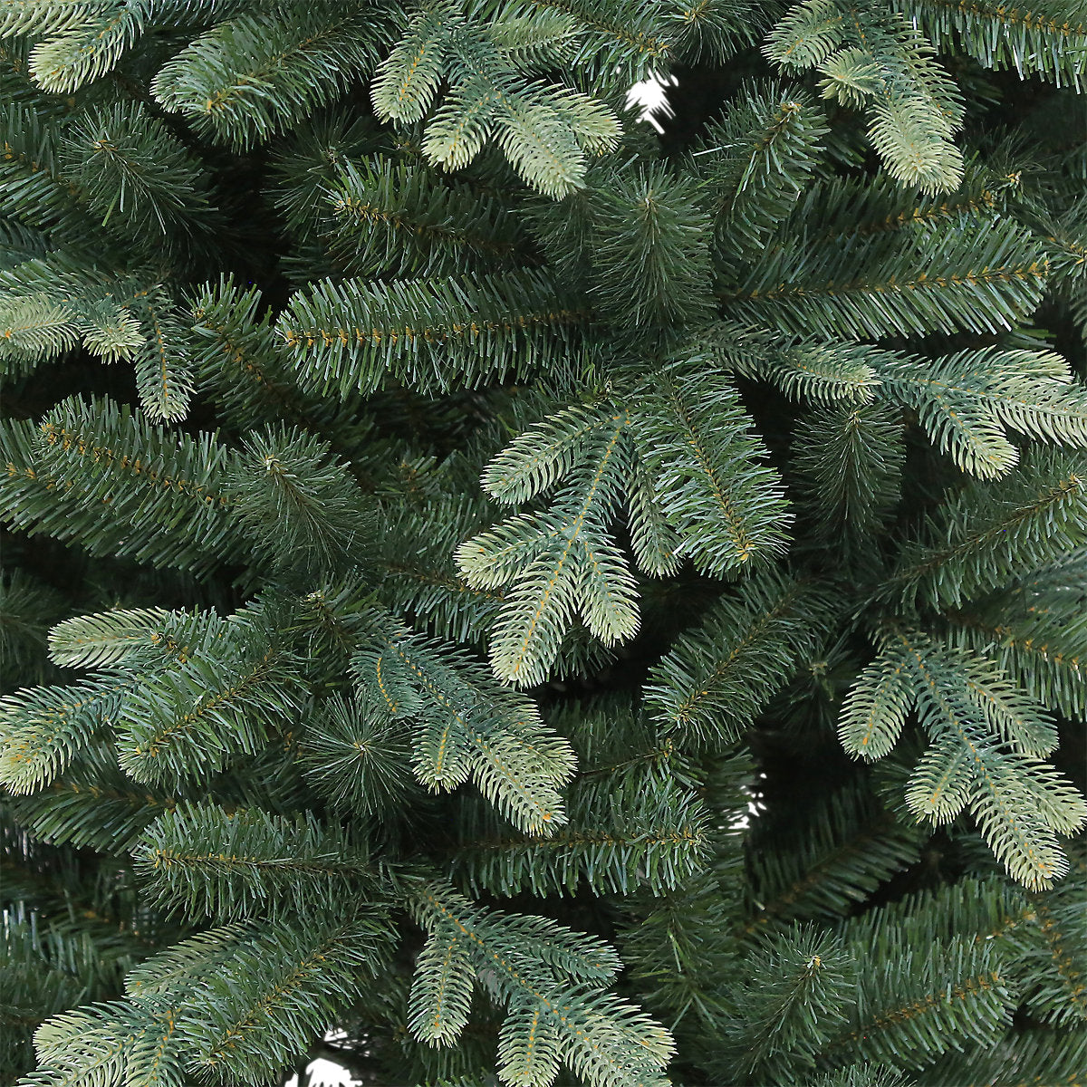 6ft Full Olber Warm white LED Pre-lit Artificial Christmas tree - Green