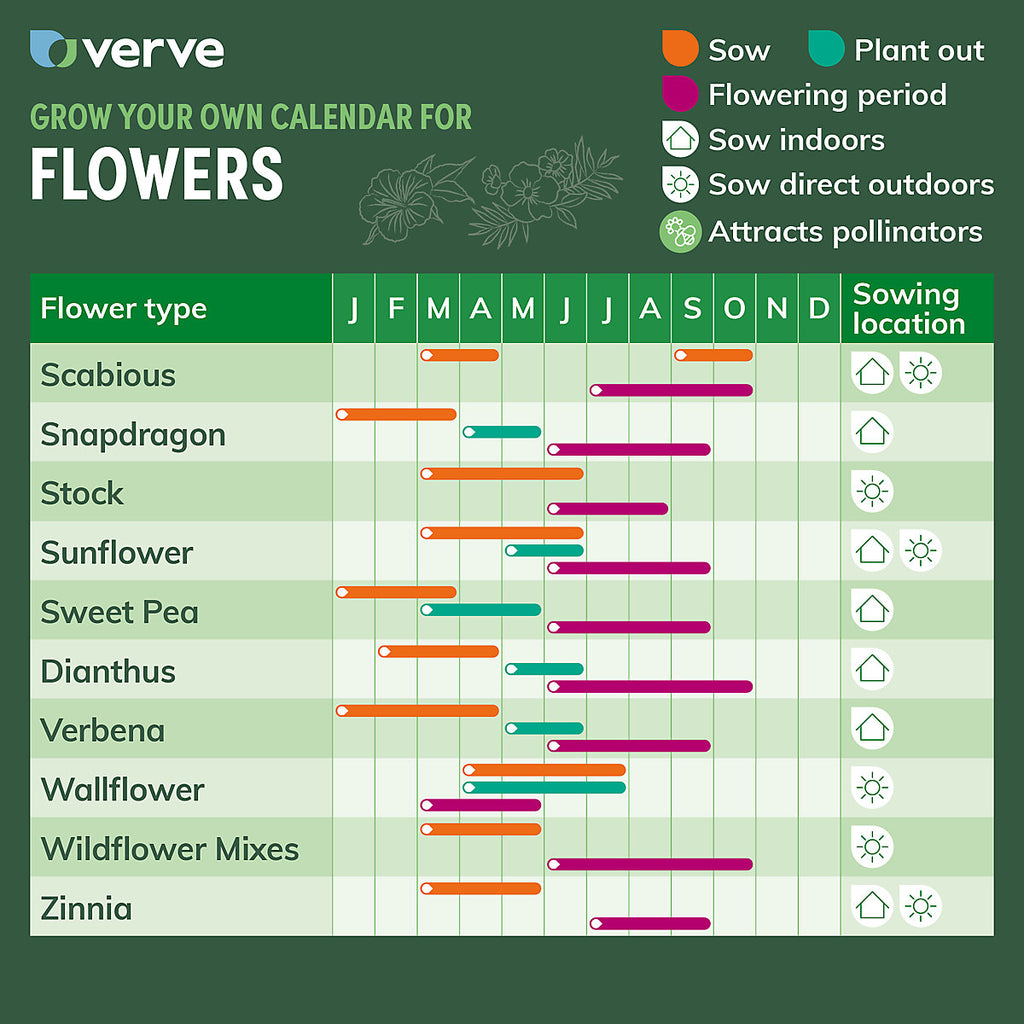 Assorted Sweet Pea Flower Seeds