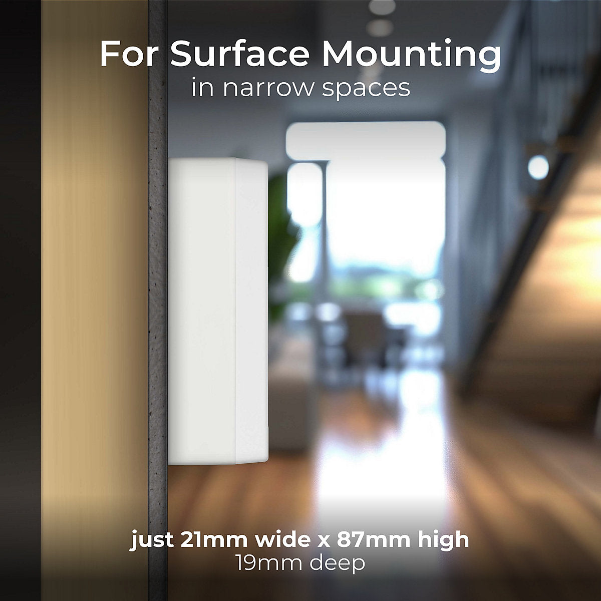 BG Plastic 19mm Single Moulded box
