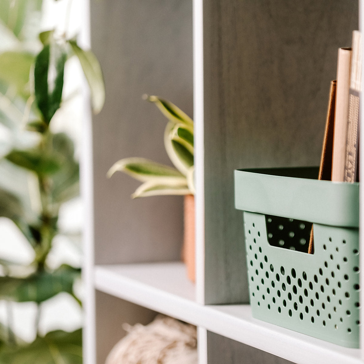 Curver Infinity Dots Green Plastic Stackable Storage basket (H)12cm (W)18cm (D)26cm