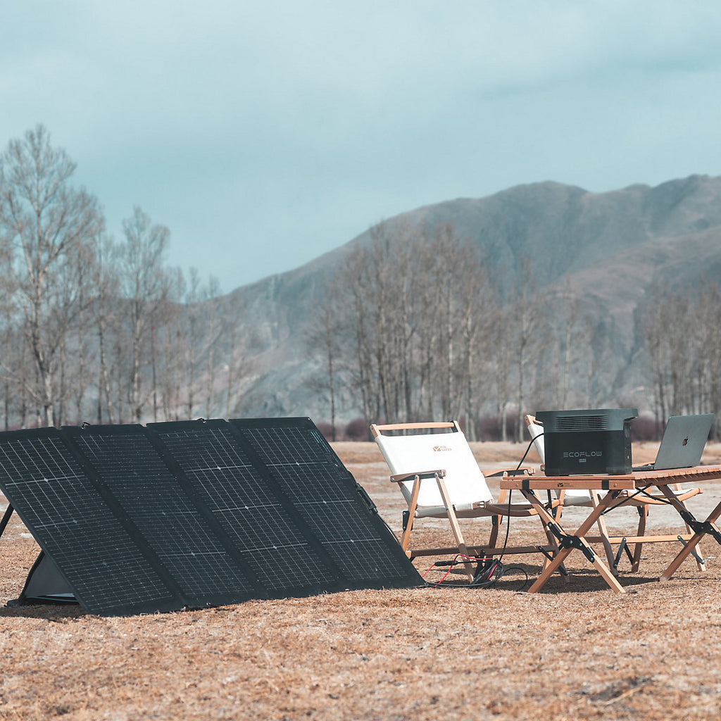 EcoFlow Portable Black Solar panel - SOLAR220W