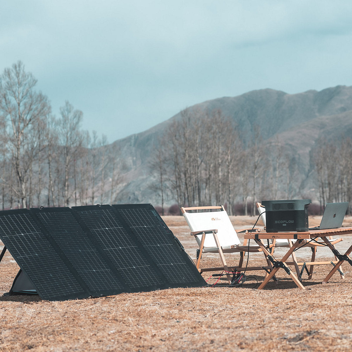 EcoFlow Portable Black Solar panel - SOLAR220W