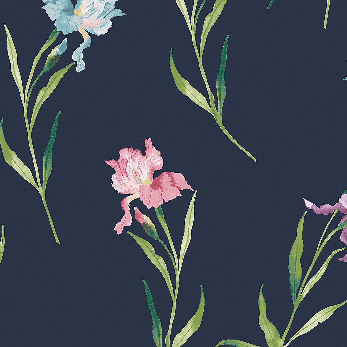 Laura Ashley Botanical Diary Midnight Seaspray Hawling Irises Smooth Wallpaper