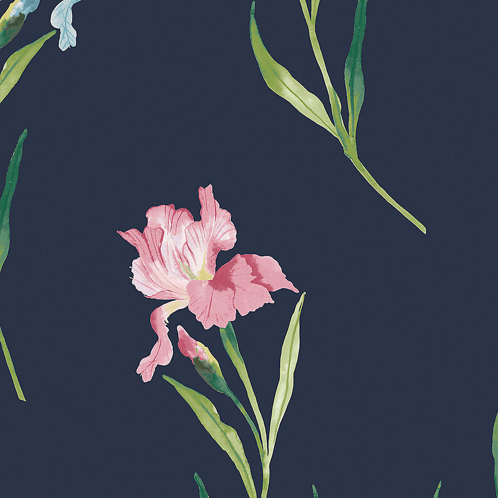 Laura Ashley Botanical Diary Midnight Seaspray Hawling Irises Smooth Wallpaper