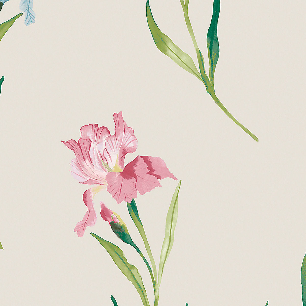 Laura Ashley Botanical Diary Soft Natural Hawling Irises Smooth Wallpaper