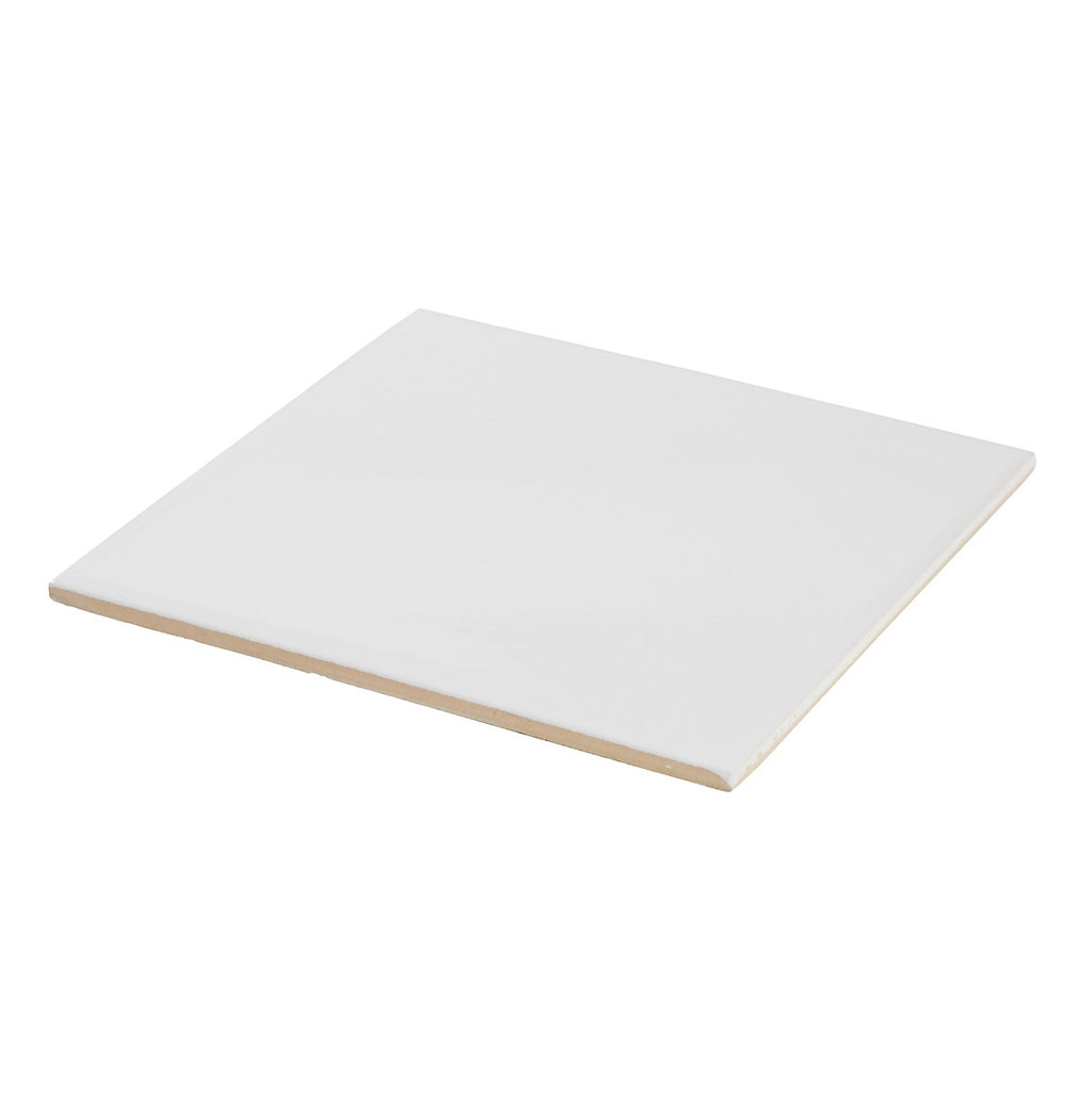 Leccia White Gloss Ceramic Indoor Wall Tile Sample