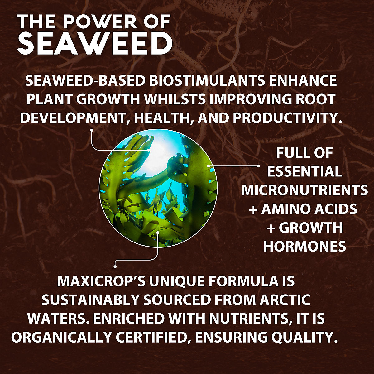 Maxicrop Concentrated Moss killer & Lawn tonic 1L Liquid