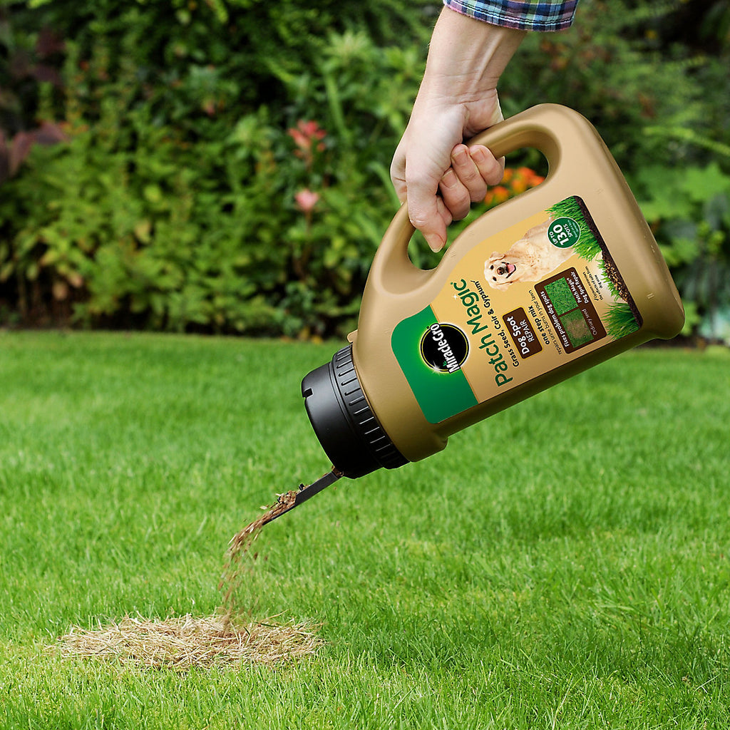 Miracle-Gro Patch magic Lawn repair 6m² 1.3kg