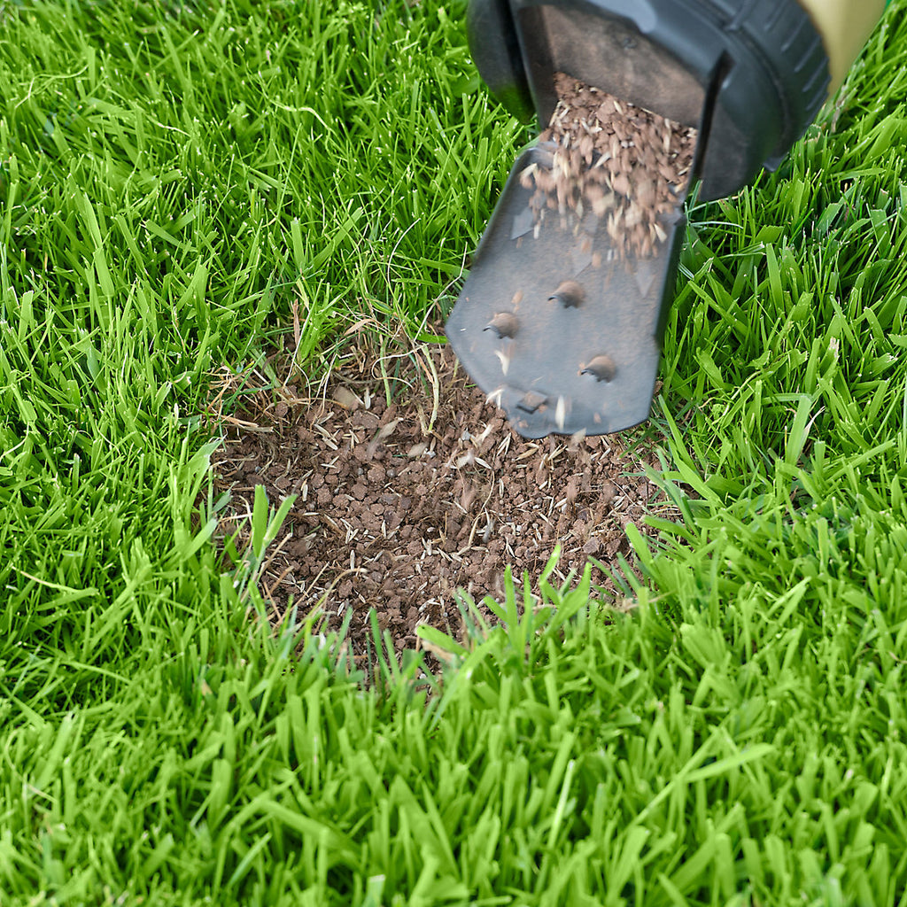 Miracle-Gro Patch magic Lawn repair 6m² 1.3kg