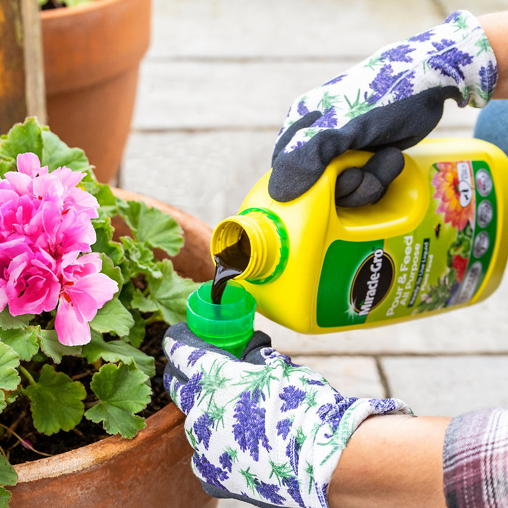 Miracle-Gro Pour & feed Liquid Universal Plant feed, 1L