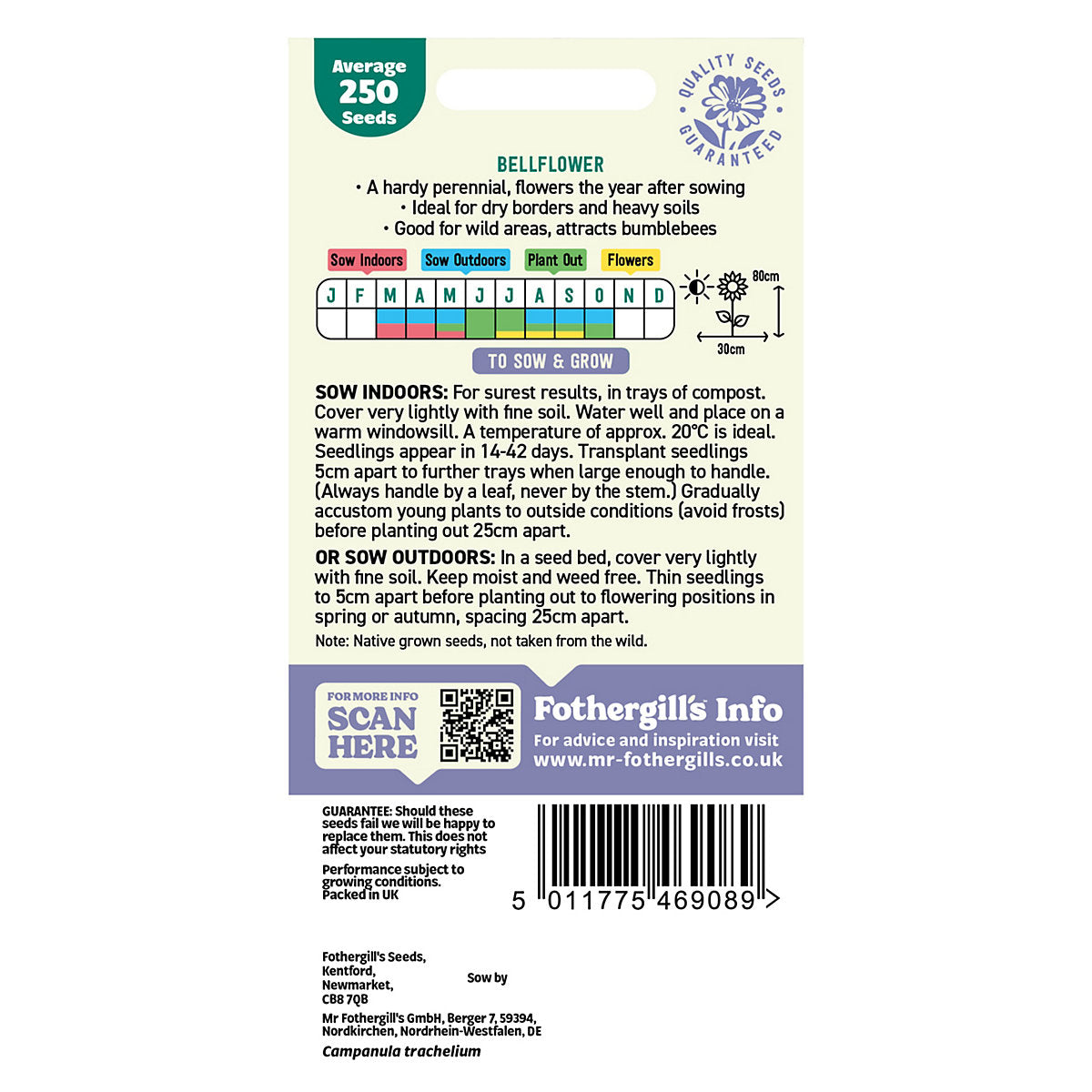 Mr Fothergills Bellflower Flower Seeds