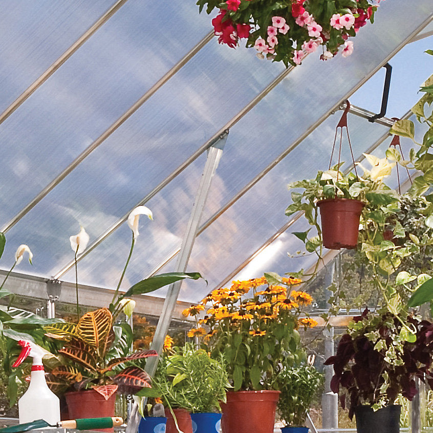 Palram Balance Silver 8x12 Greenhouse