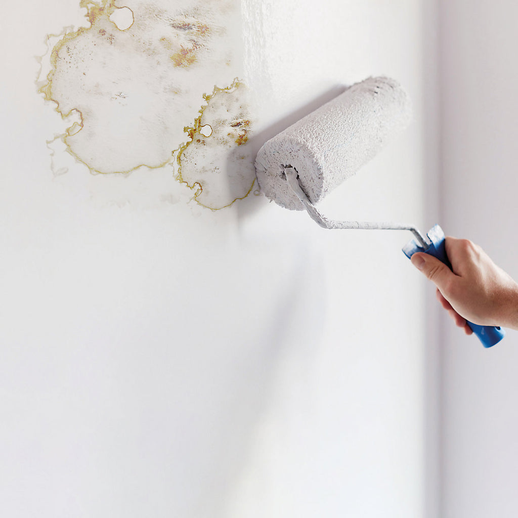 Ronseal Problem wall White Silk Anti-mould paint, 0.75L