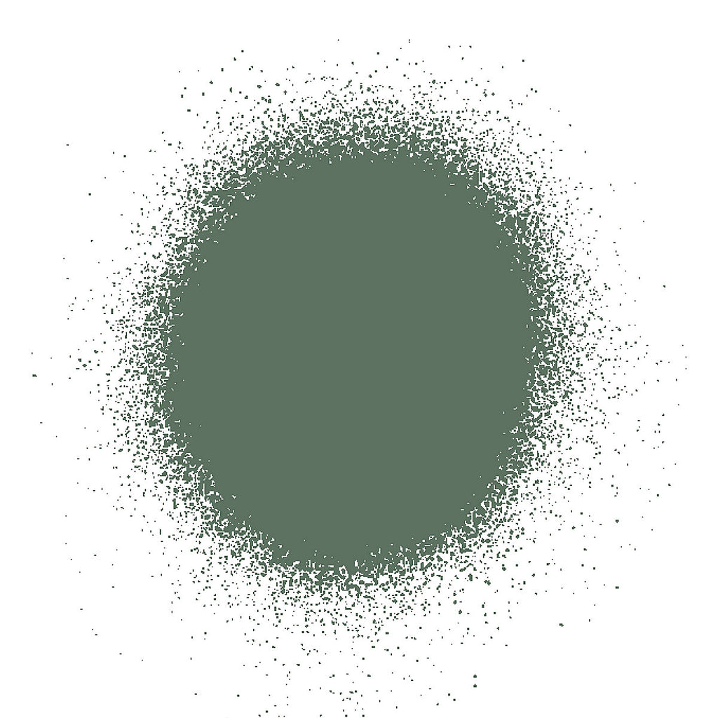 Rust-Oleum Painter's touch Sage green Gloss Multi-surface Decorative spray paint, 400ml