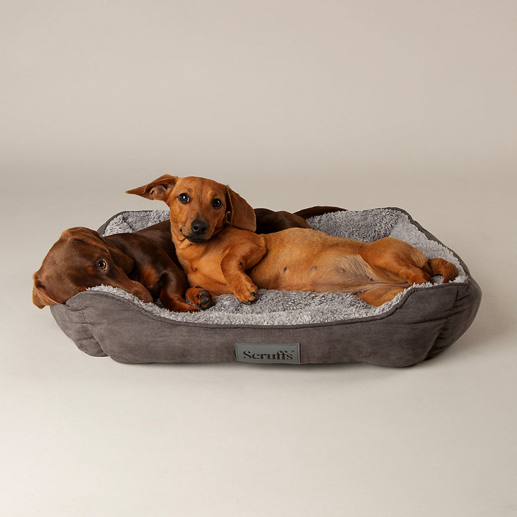 Scruffs Cosy Multicolour Dog bed (W)50cm (D)60cm Medium