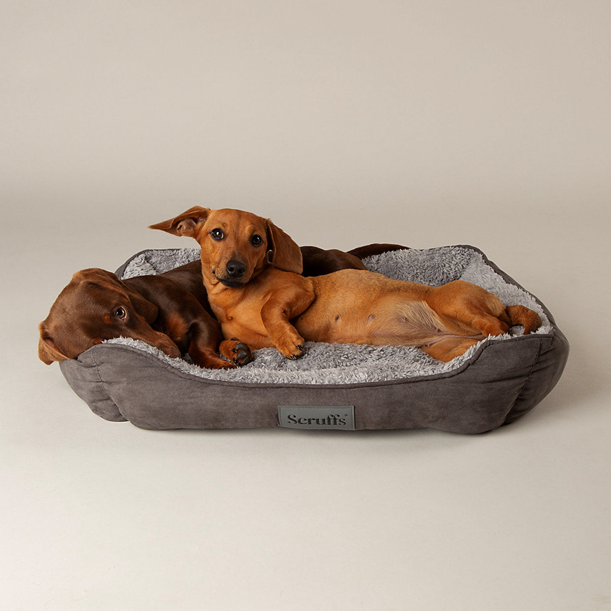 Scruffs Cosy Multicolour Dog bed (W)50cm (D)60cm Medium