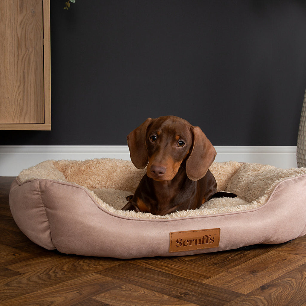 Scruffs Cosy Multicolour Dog bed (W)50cm (D)60cm Medium