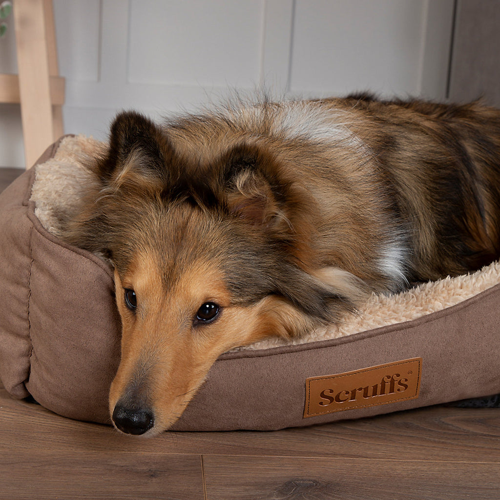 Scruffs Cosy Multicolour Dog bed (W)50cm (D)60cm Medium