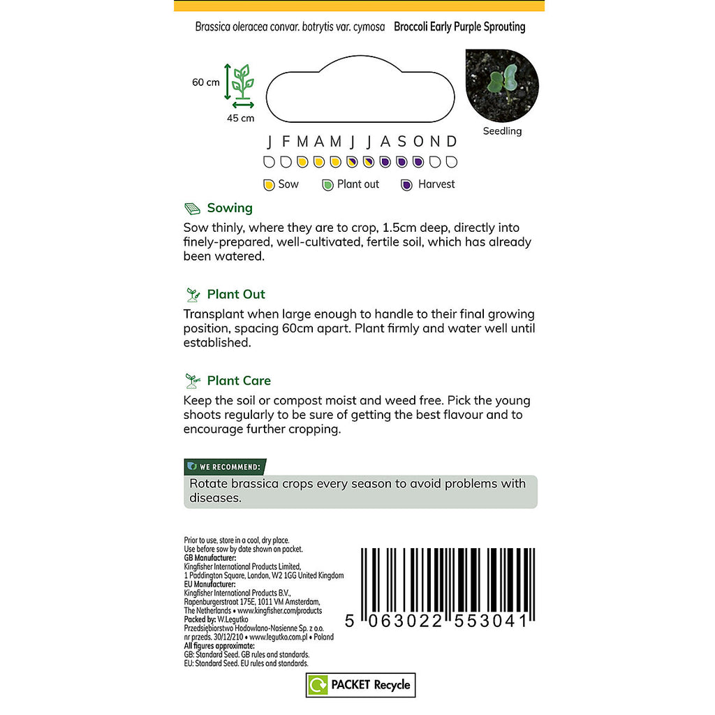 Verve Broccoli 'Early Sprouting' Vegetable Seeds