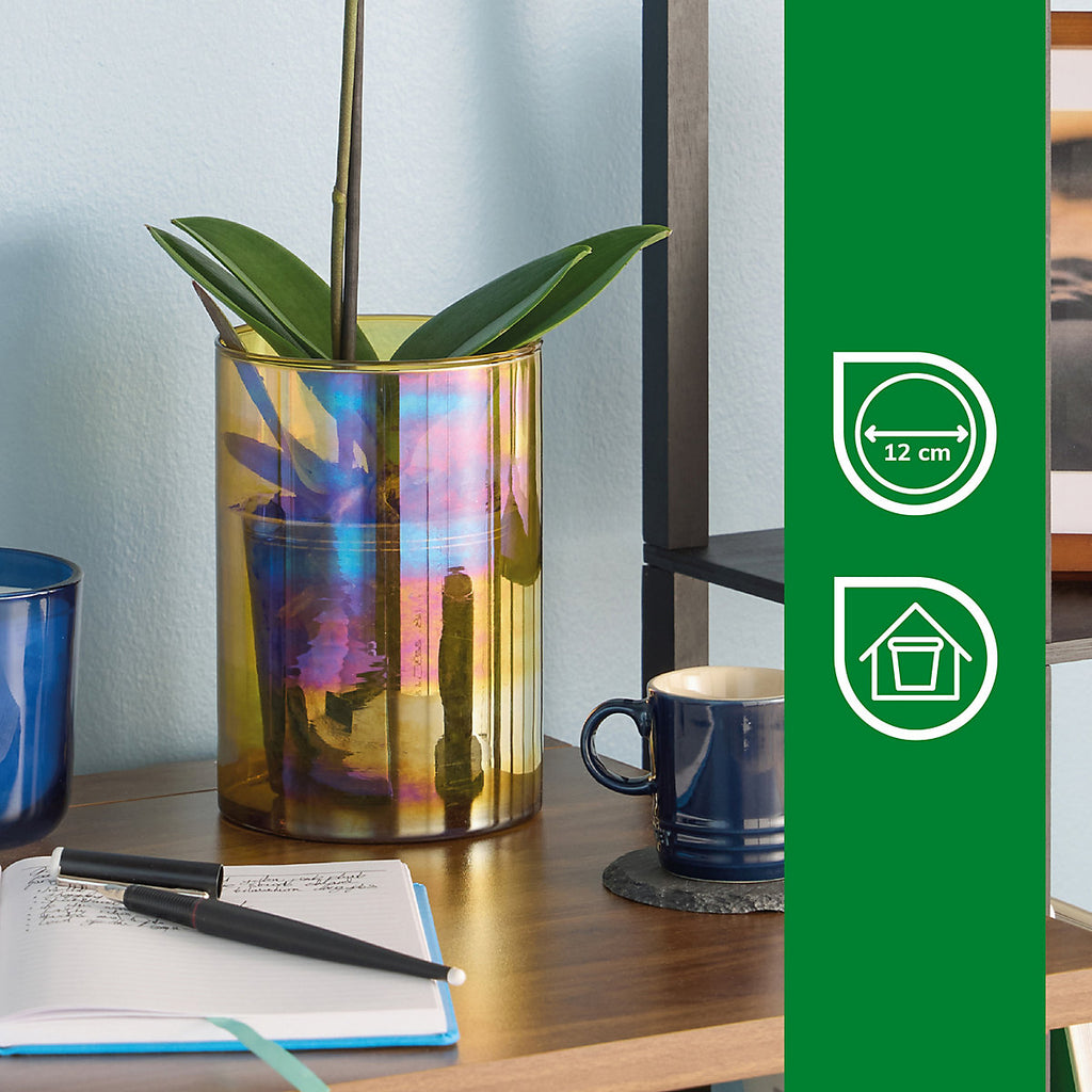 Verve Brown Glass Plant pot (Dia) 12.5cm, (H)18cm