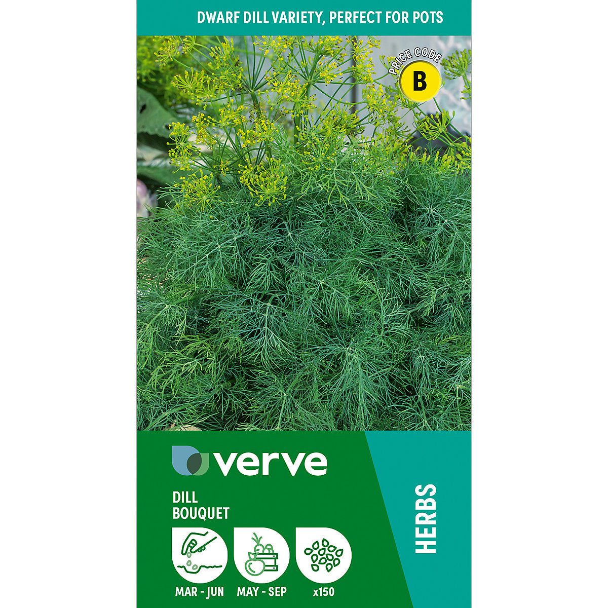Verve Dill 'Bouquet' Herb Seeds