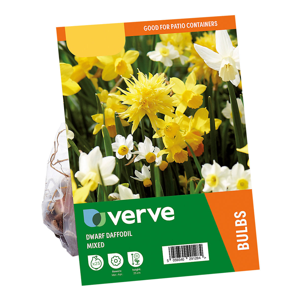 Verve Dwarf Daffodil Mix 25 Flower bulbs