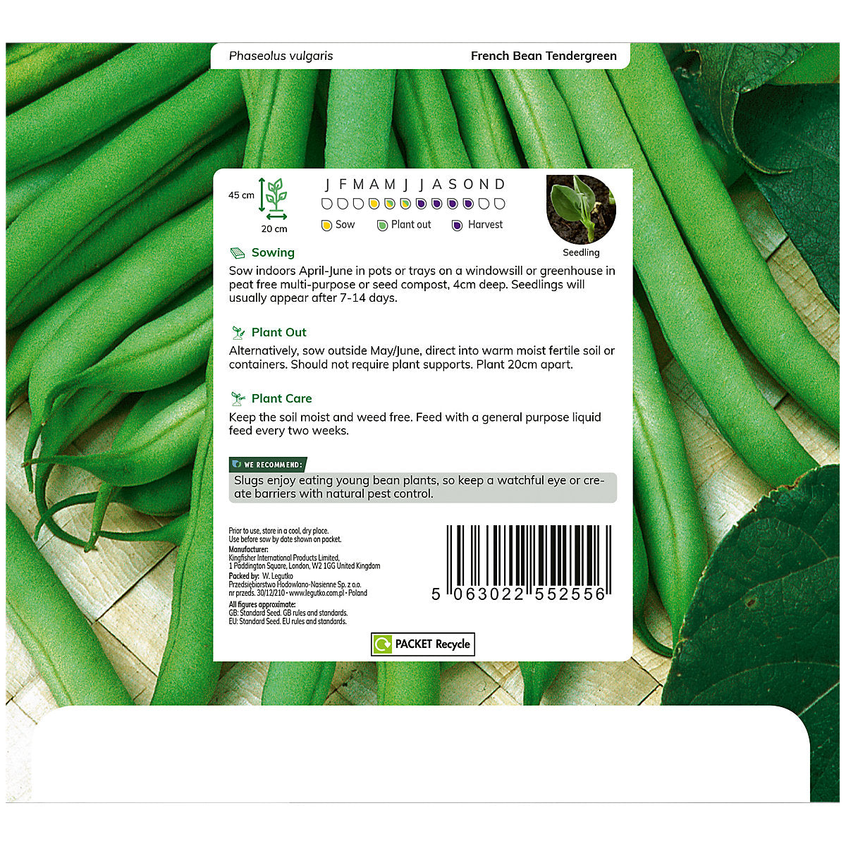 Verve French bean 'Dwarf Tendergreen' Vegetable Seeds