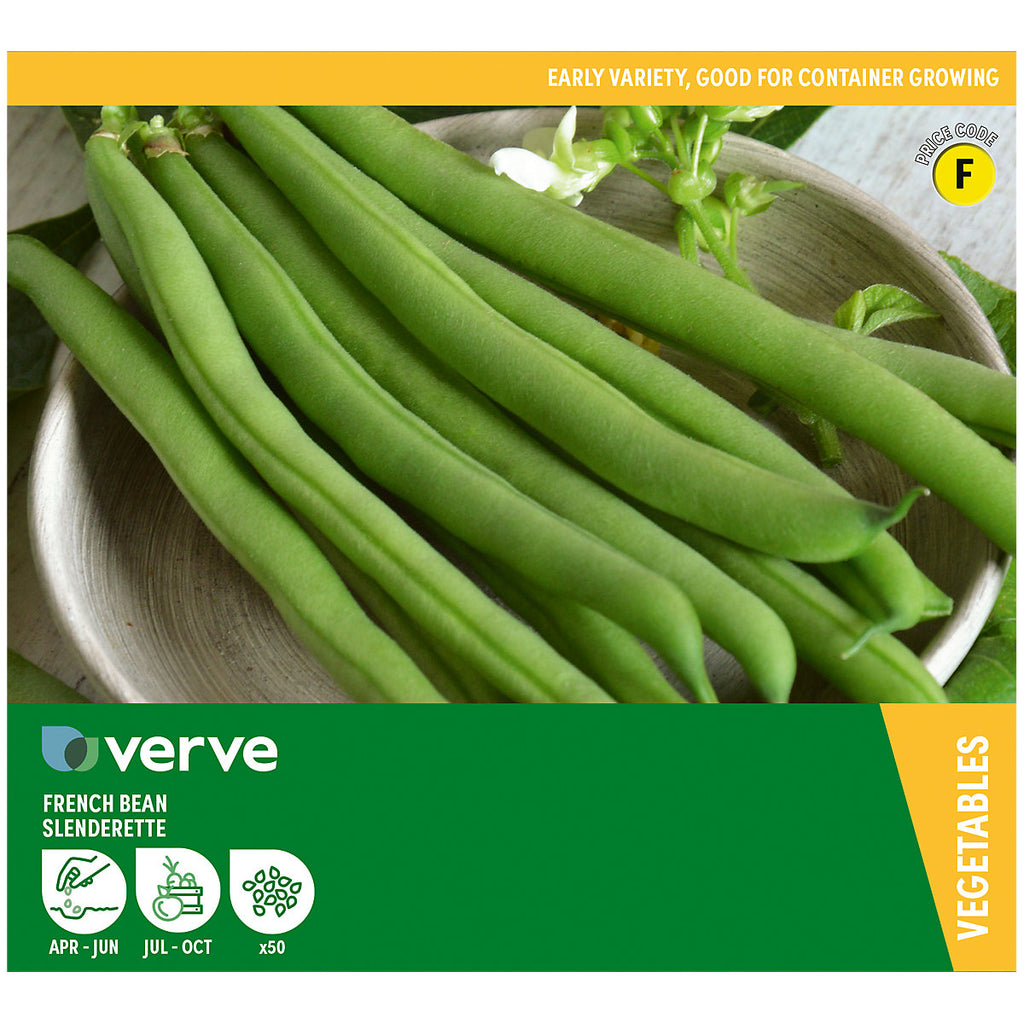 Verve French bean 'Slenderette' Vegetable Seeds