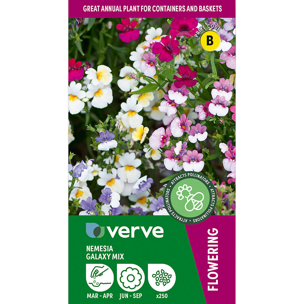 Verve Galaxy mix Nemesia Seeds