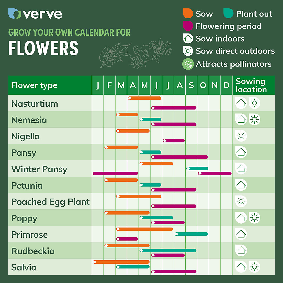 Verve Galaxy mix Nemesia Seeds
