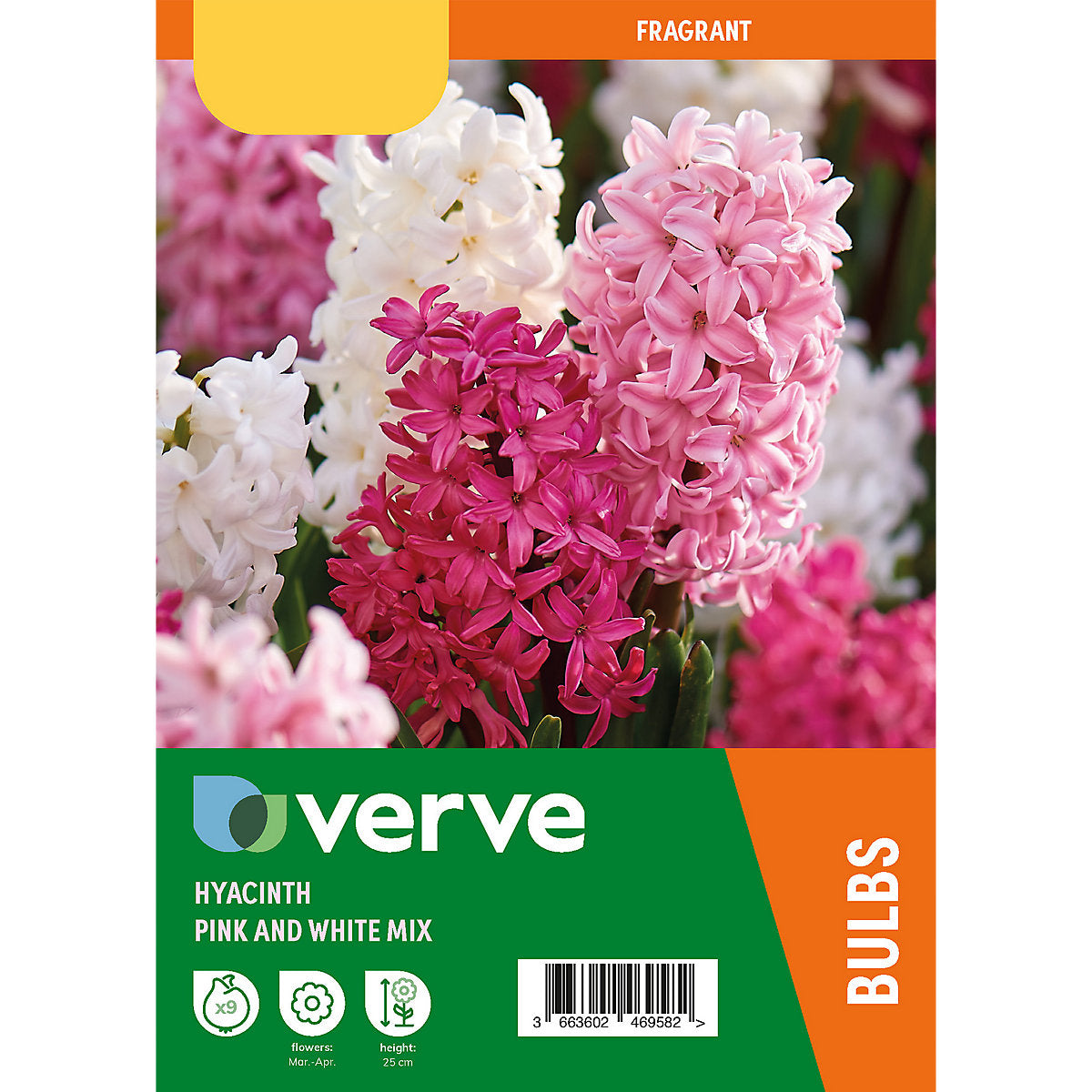 Verve Hyacinth Pink & White mix 9 Flower bulbs