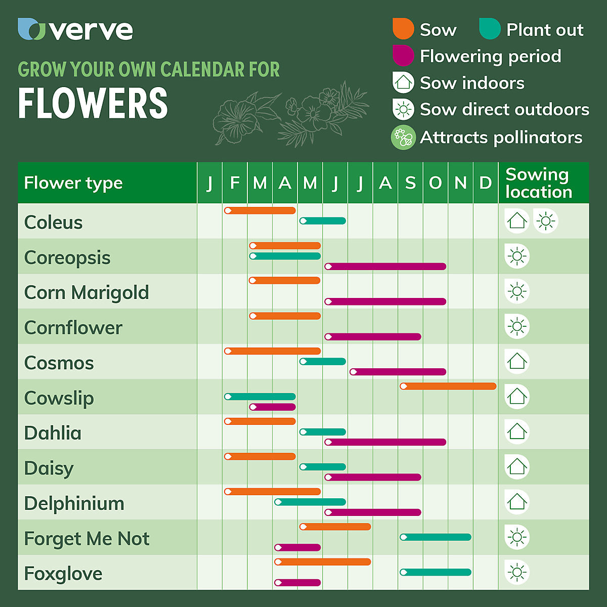 Verve Magic Fountains Mix Delphinium Seeds