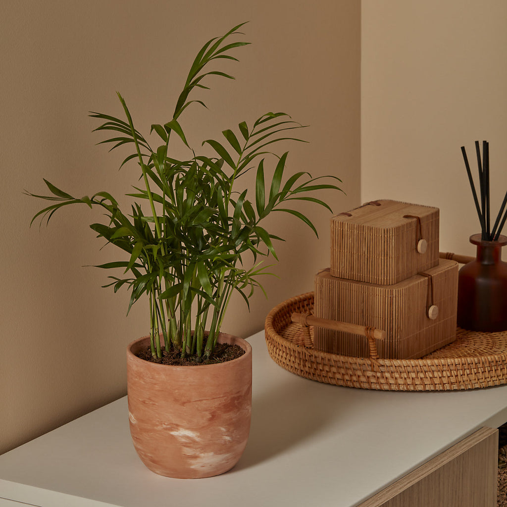 Verve Marble effect Terracotta Plant pot (Dia) 14cm, (H)13cm