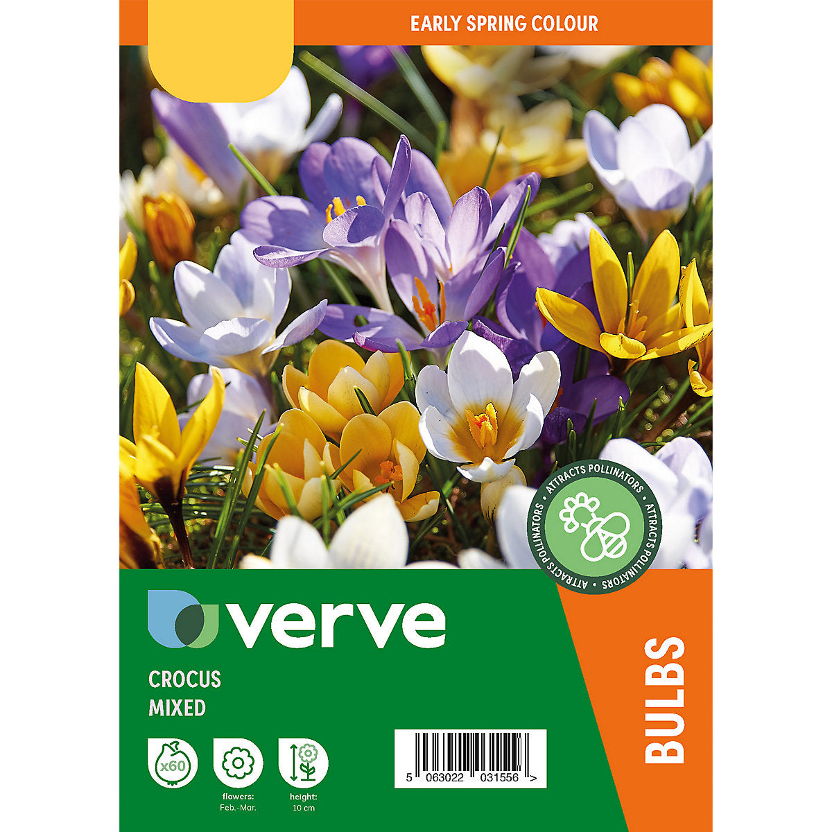 Verve Mixed Crocus (early) 60 Flower bulbs