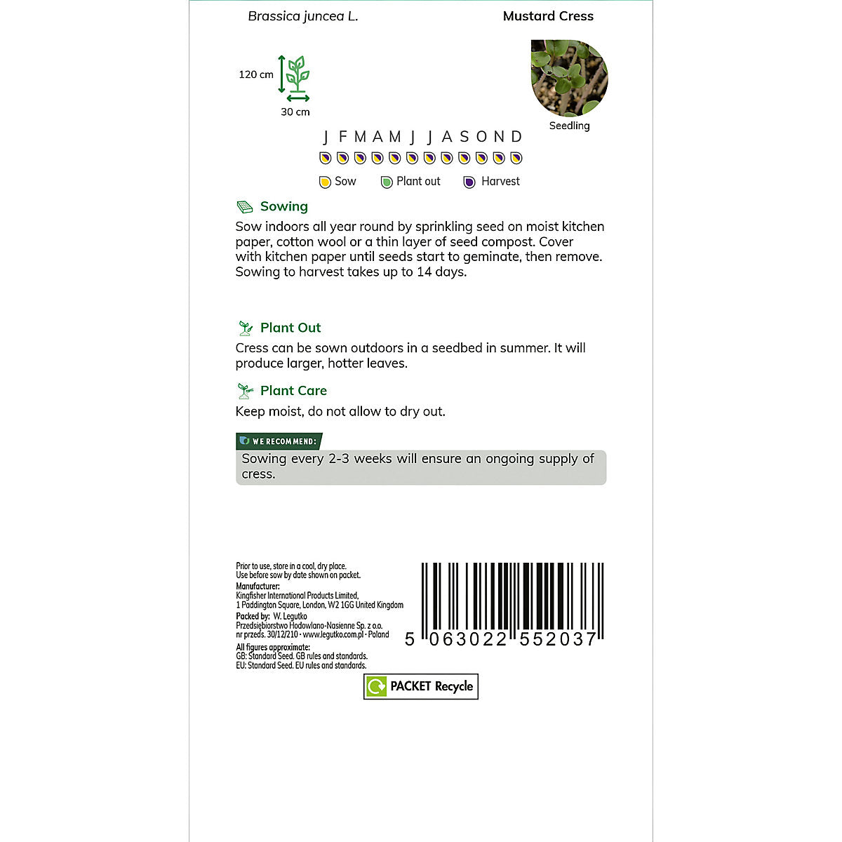 Verve 'Mustard' Herb Seeds