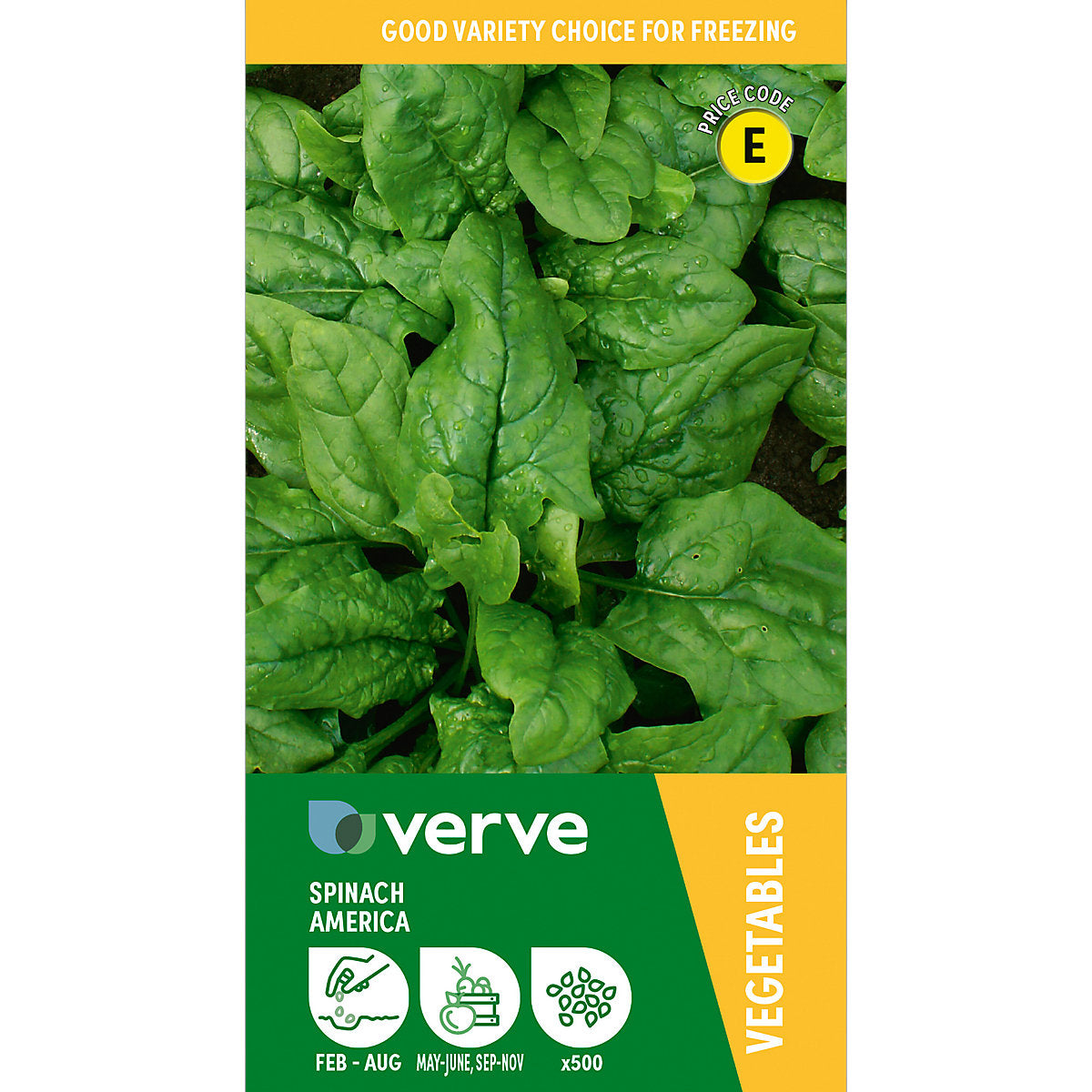 Verve Spinach 'America' Vegetable Seeds