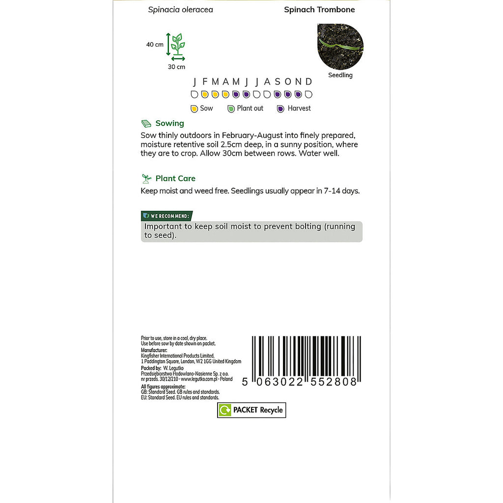 Verve Spinach 'America' Vegetable Seeds
