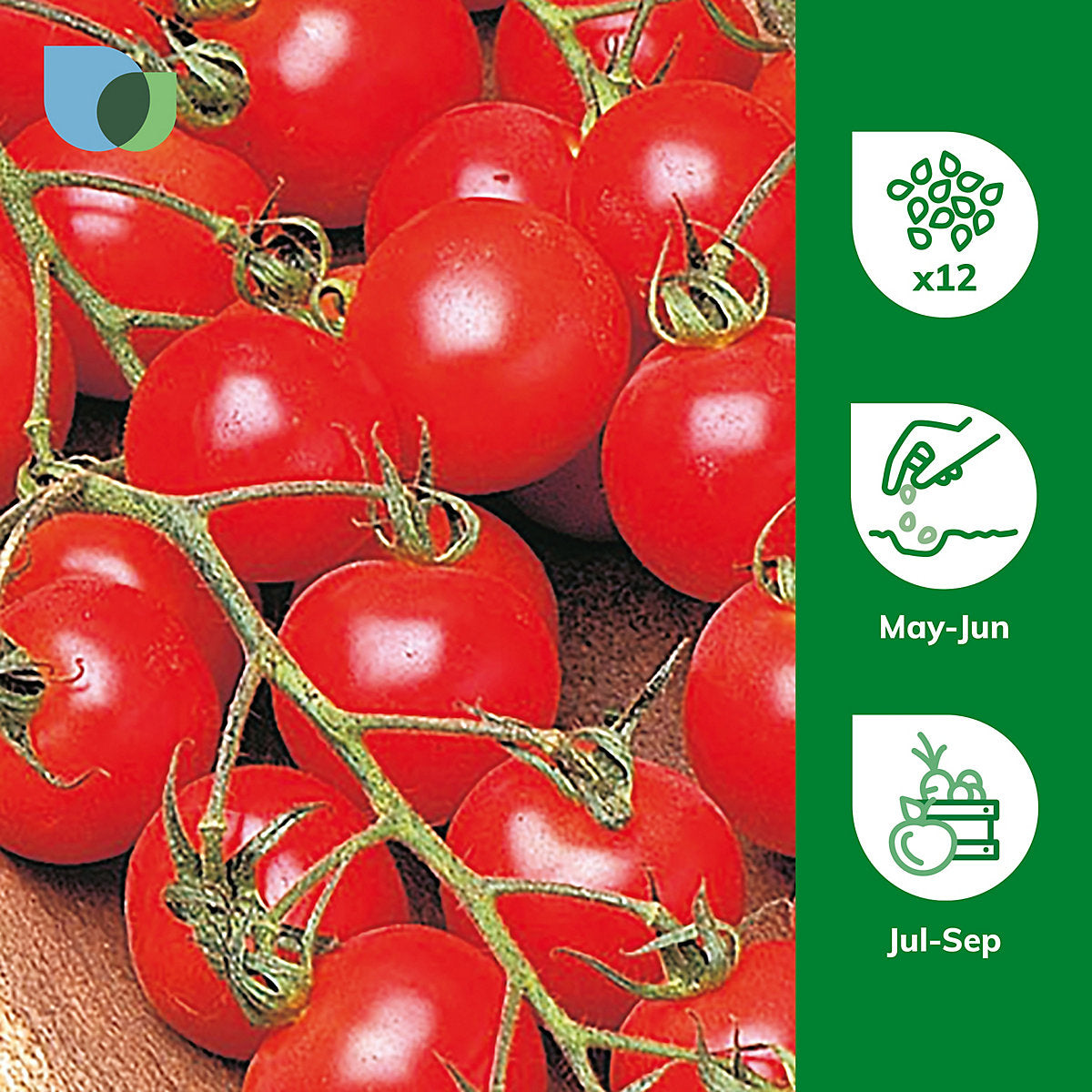 Verve Tomato 'Cherry Mix' Vegetable Seeds