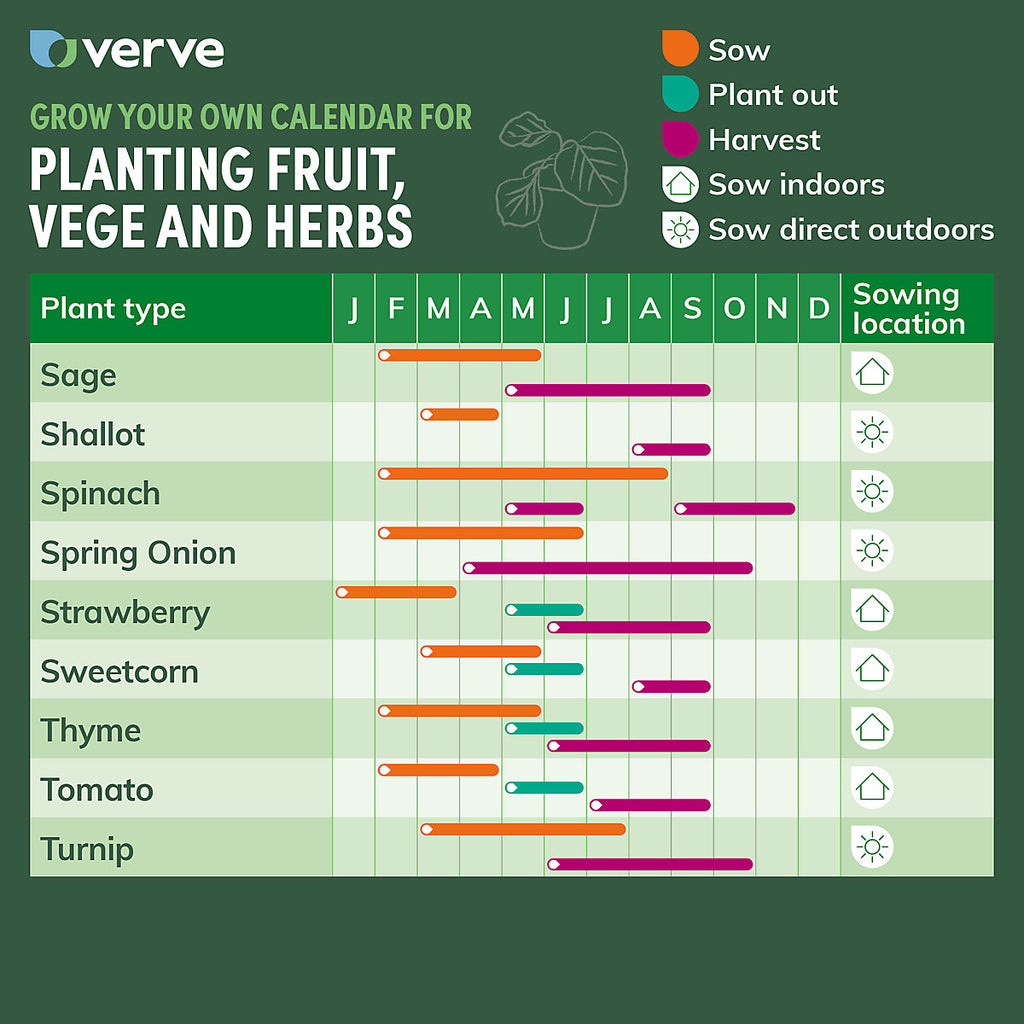 Verve Tomato 'Gartenperle Cherry' Vegetable Seeds