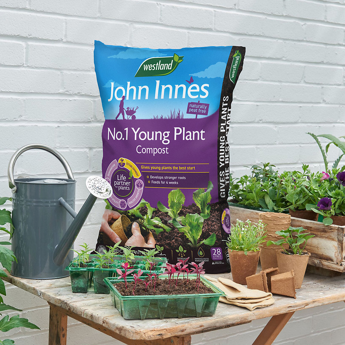 Westland John Innes No.1 Peat-free Multi-purpose Compost 28L